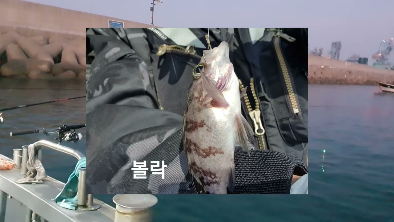 2026년 2월 14일 토요일 삼천포 발방 감시선상 낚시& 설리 전어낚시