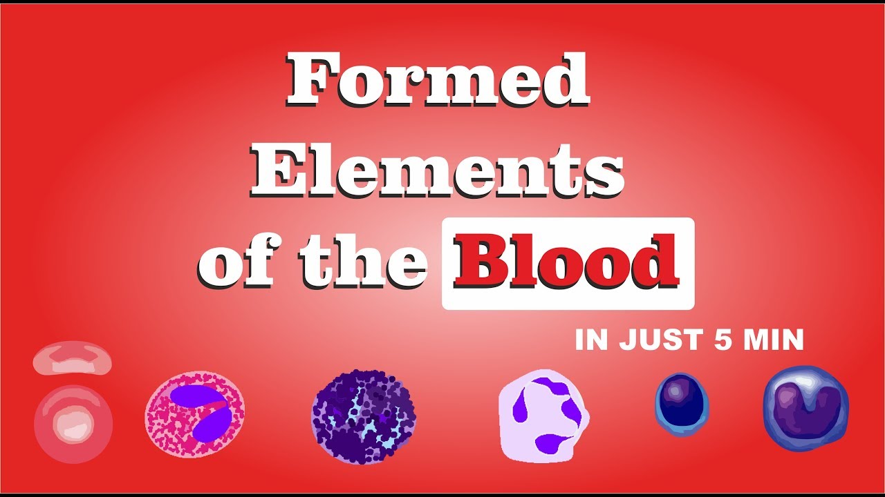 Formed  Elements  of the Blood IN JUST 5 MIN