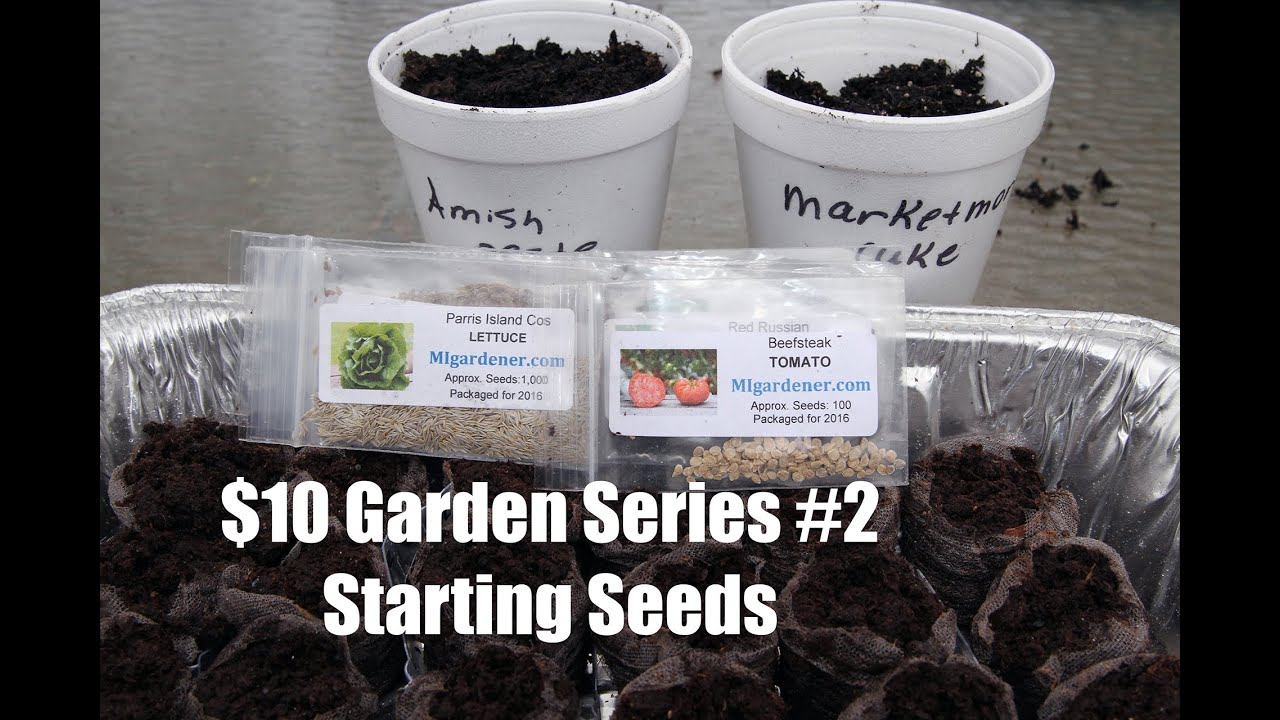 The $10 Garden Series #2- How to Start Seeds Indoors