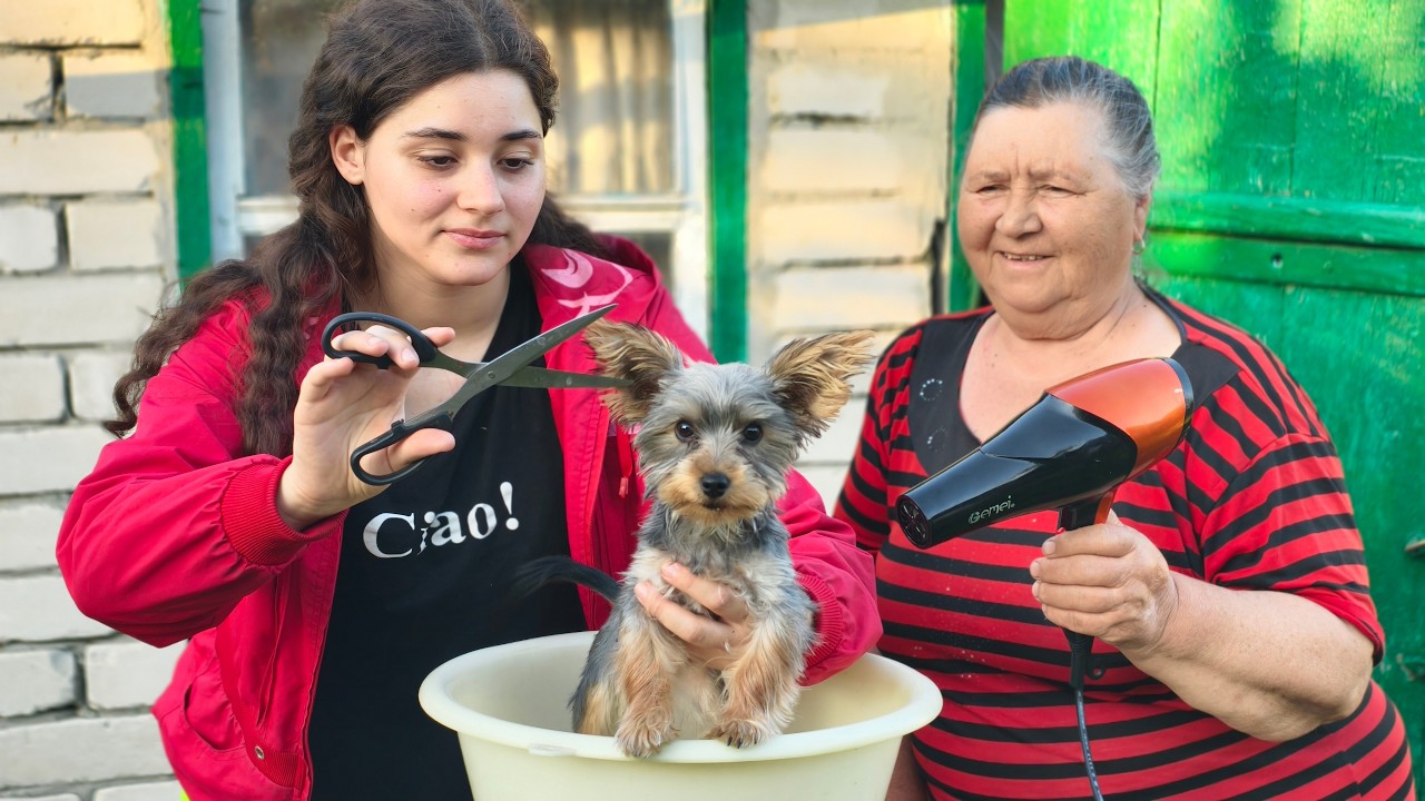 Our Puppy Needed a Haircut 🐶✂️ | Cozy Village Life & Family  BBQ 🌿🔥