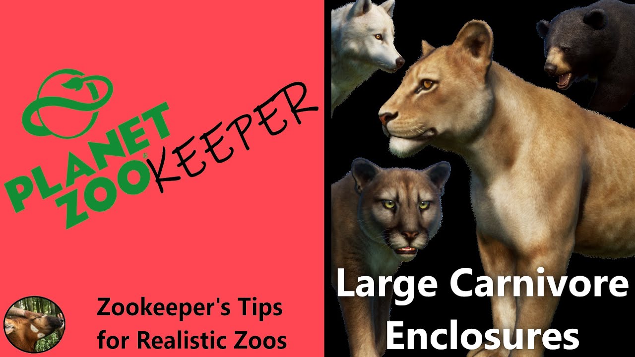 PLANET ZOOkeeper | Zookeeper's Tips for Realistic Zoos | Large Carnivore Enclosures