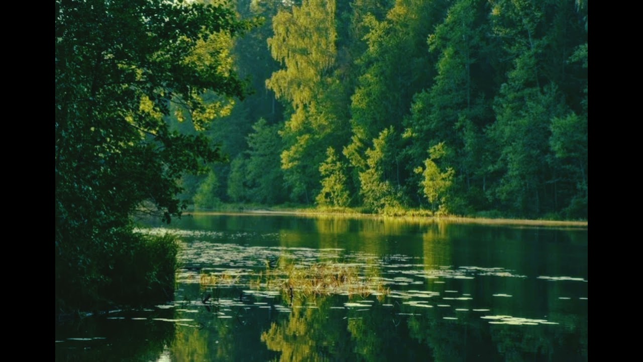 Neture sounds for sleeping