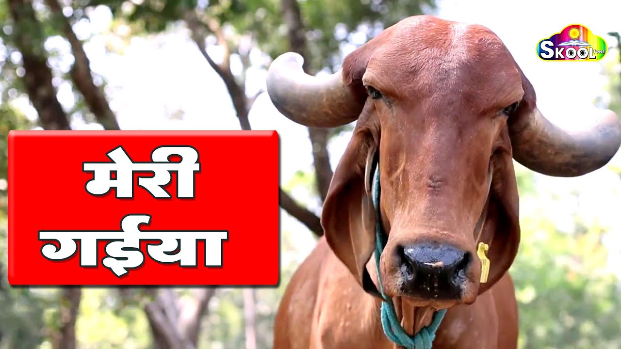 मेरी गईया प्यारी लगती है | Meri Gaiya Pyari Lagti Hai | Skool Tone