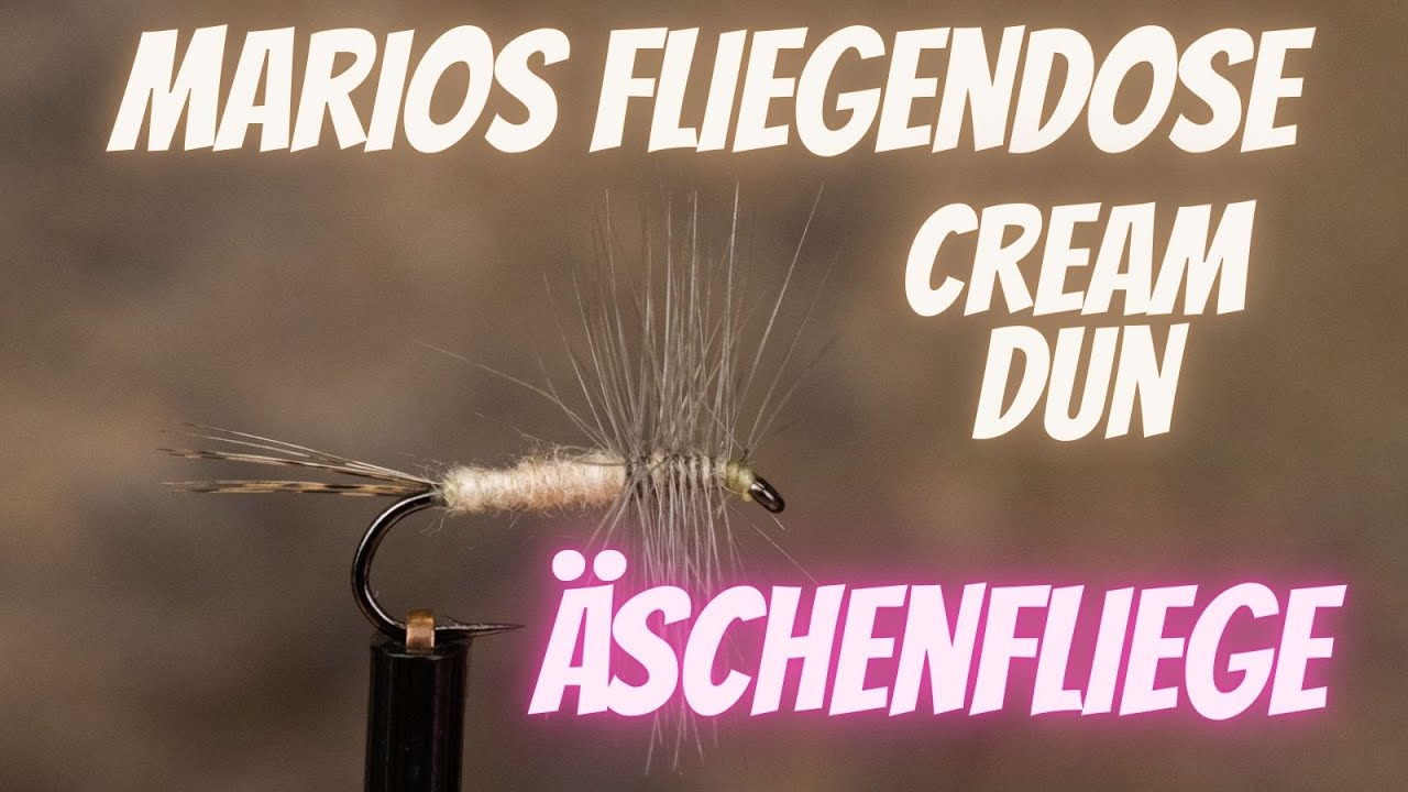 Marios Fliegendose - Äschenfliege - Cream Dun