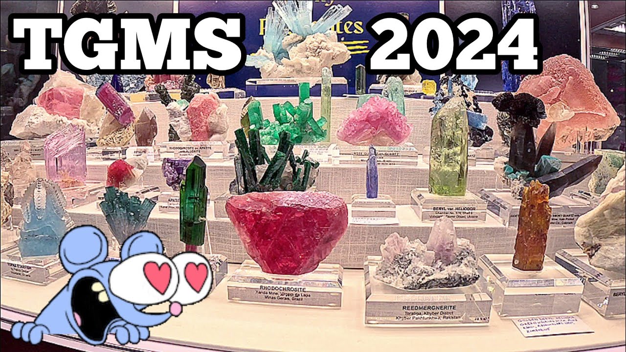 Tucson Gem & Mineral Show! 🥰❤️💎 #gems #crystals #tucsongemshow #tourmaline #pegmatites #beryl #rocks
