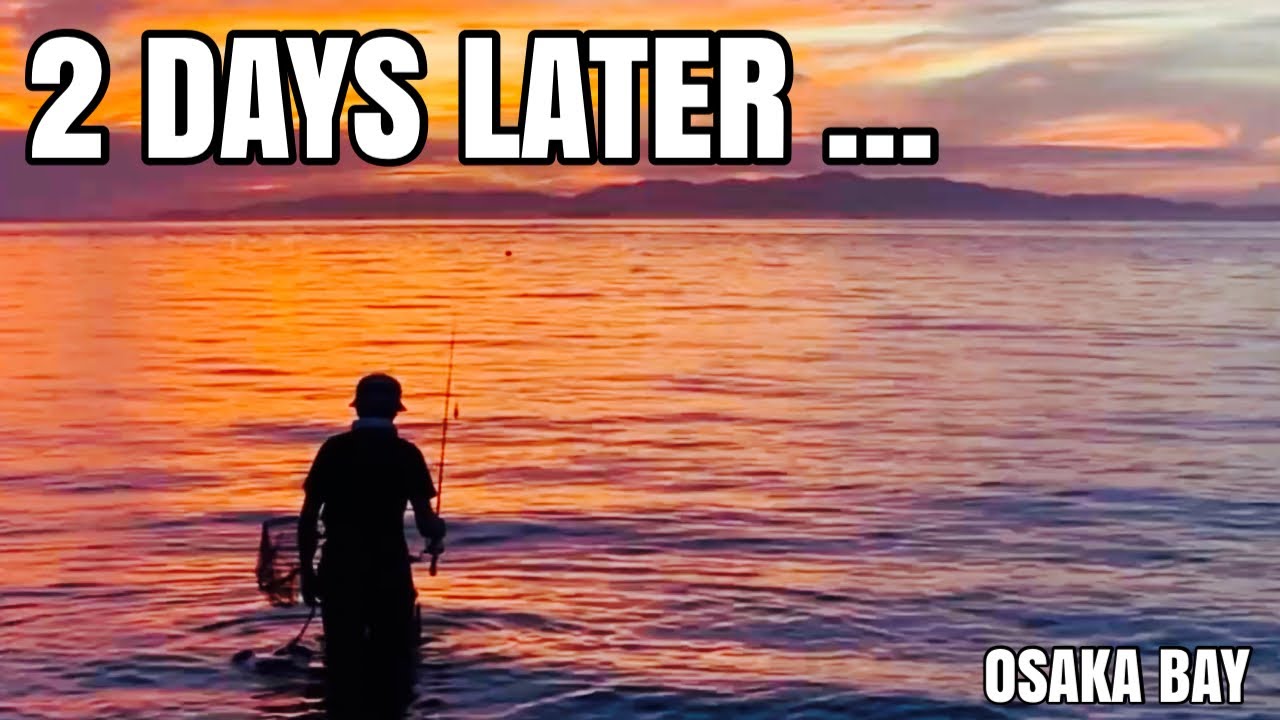 Can You Eat Horse Mackerel Caught 2 Days Ago? | Ajing to Sashimi Speed Fillet