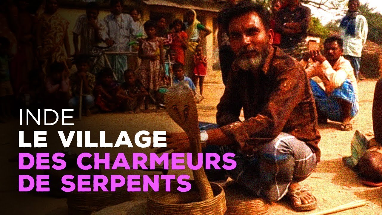 Le métier de charmeur de serpents