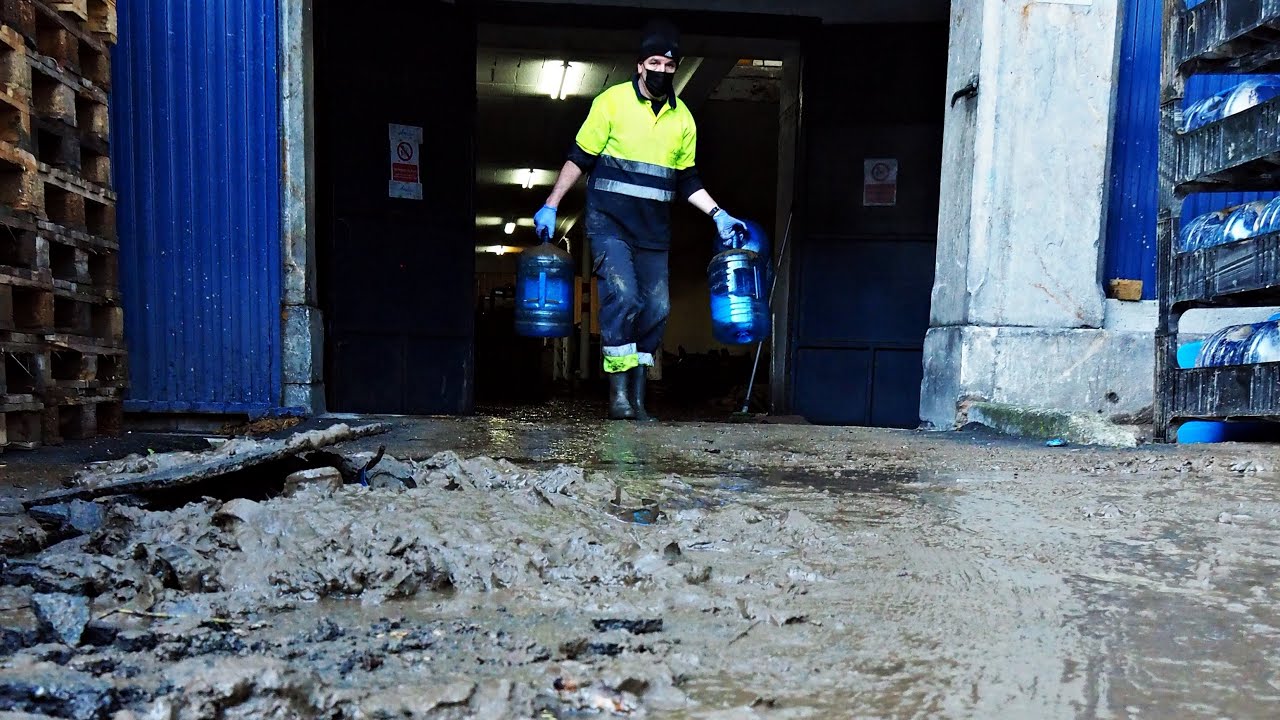 Testimonios después de la inundación en Alzola