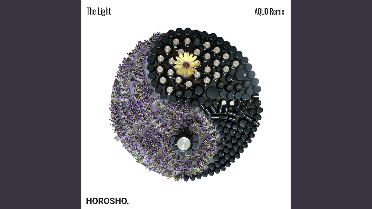 The Light (Aquo Remix) (Extended)