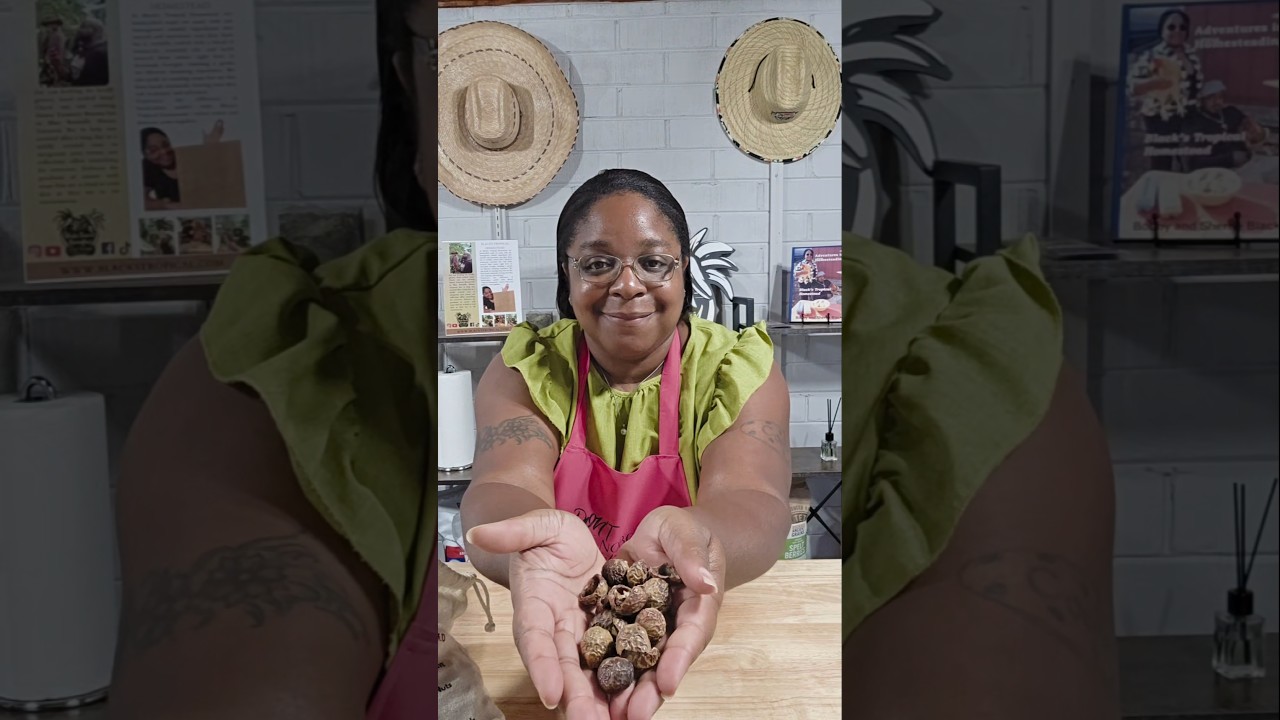 Natural Soap Nuts #shorts #natural #howto #recipe #health #soap #diy #homemade #fyp #like #love