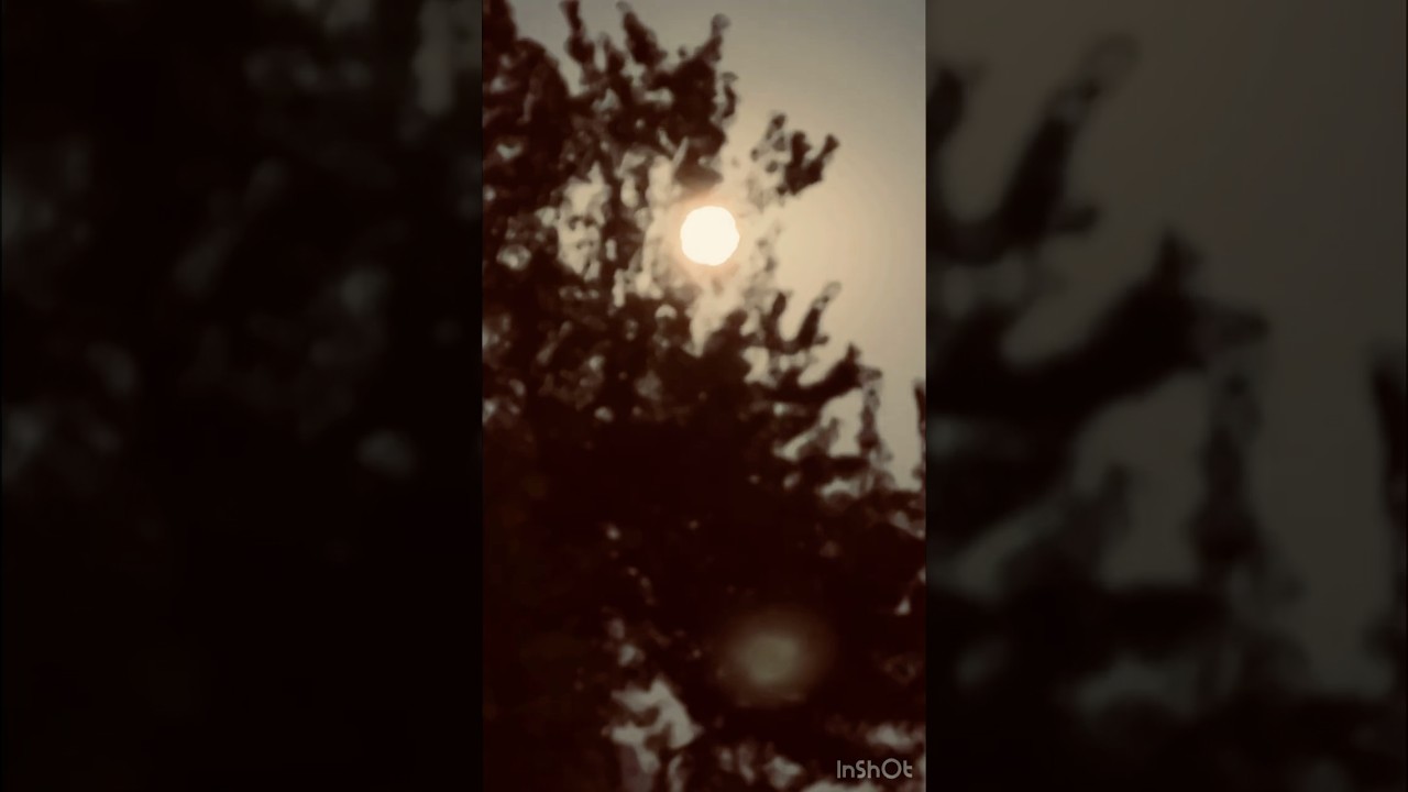 🎬 Hunter’s Moon Glyph 🌕⚠️ CCR’s Bad Moon Rising | Register • Resist • Vote 2025 📝