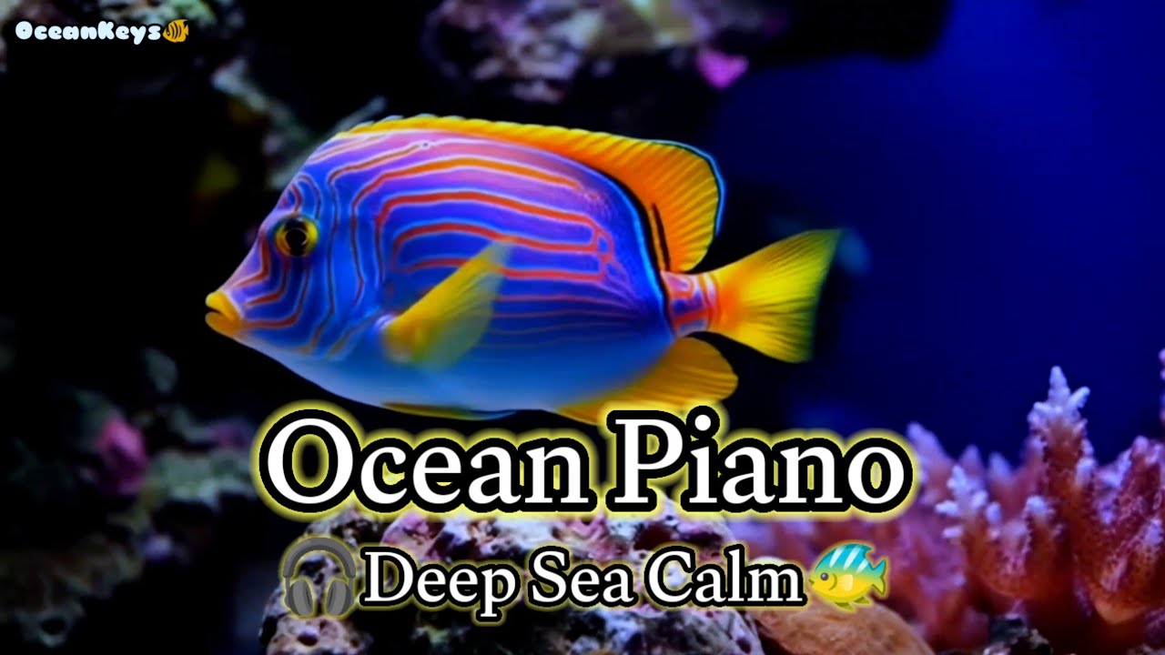 Relaxing Ocean Piano Music for Deep Sleep and Meditation with Underwater Nature Visuals 🐠