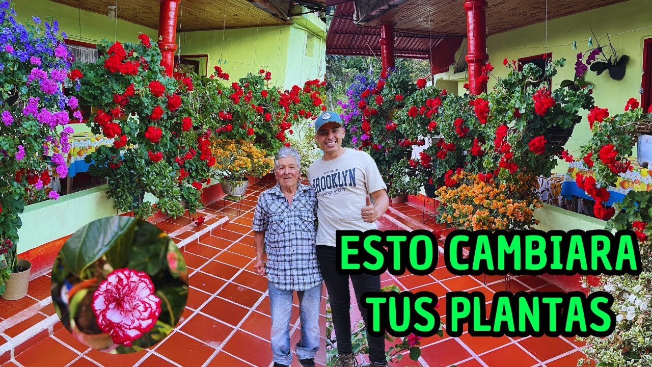Una casa sin PLANTAS es como una casa sin MUJERES, te va ENCANTAR este JARDÍN y sus CONSEJOS |AP
