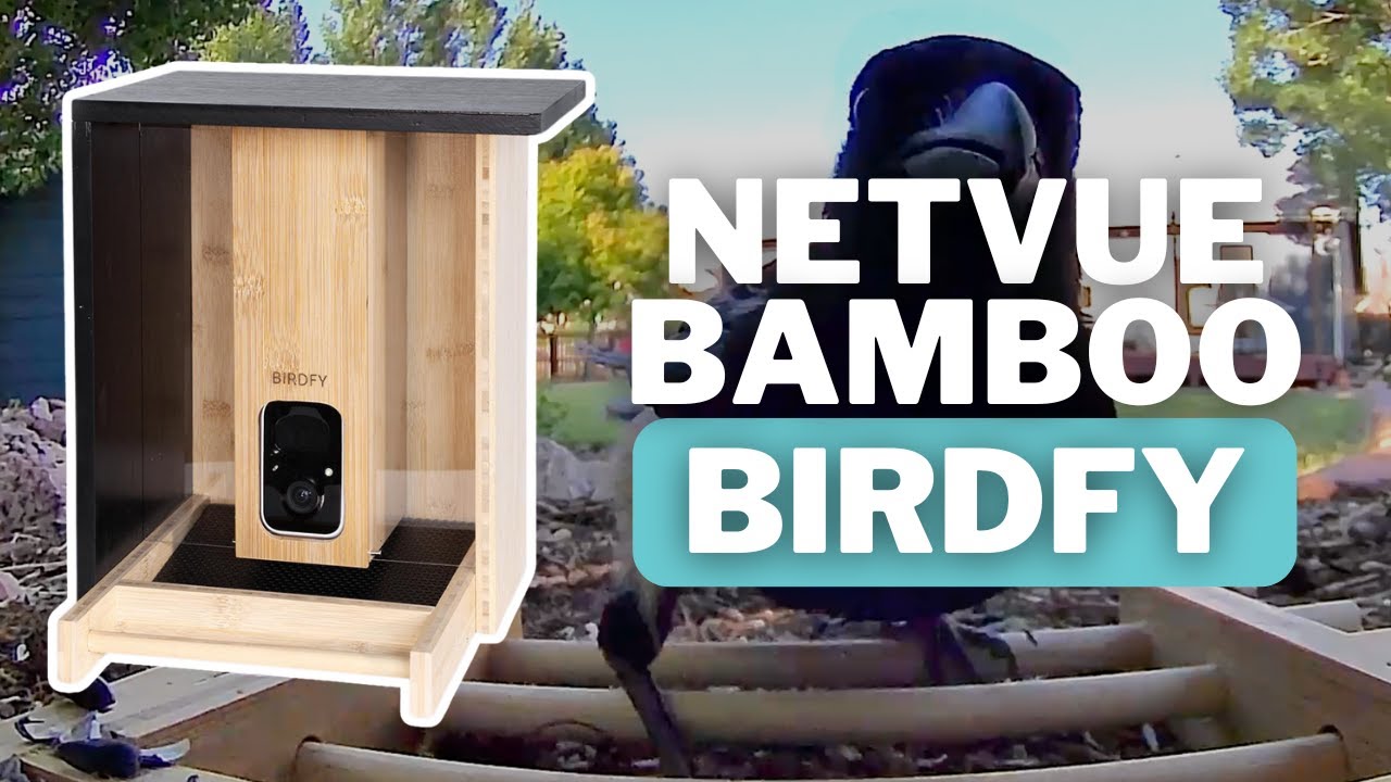 Netvue Birdfy AI Bird Feeder Review (Bamboo Edition)