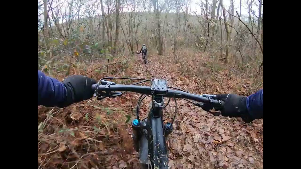 VTT