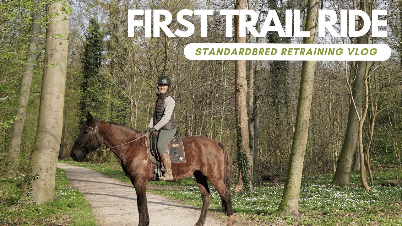 Standardbred Retraining Episode 4: First Trail Ride (GoPro)