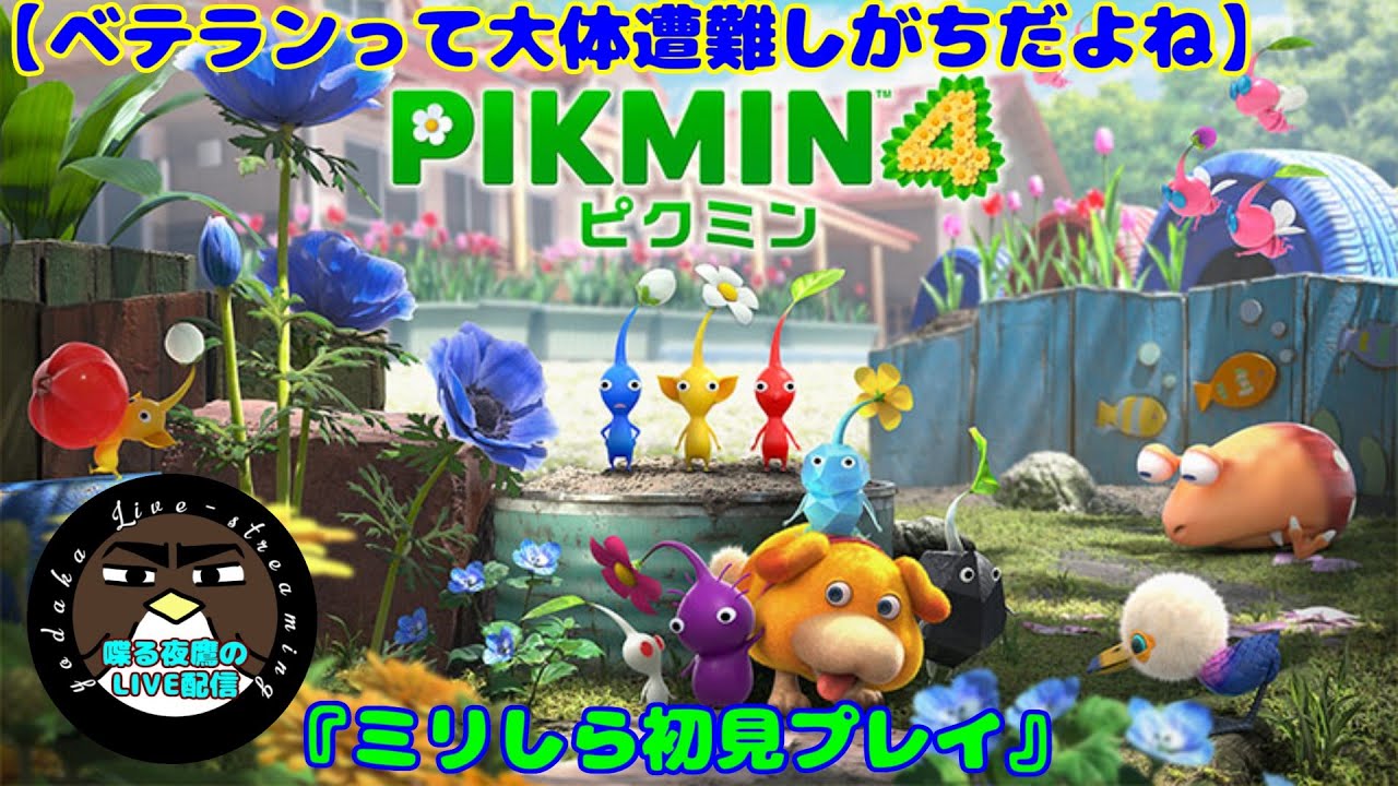 【ベテランって大体遭難しがちだよね】ピクミン4　1日目【喋る夜鷹の実況プレイ】
