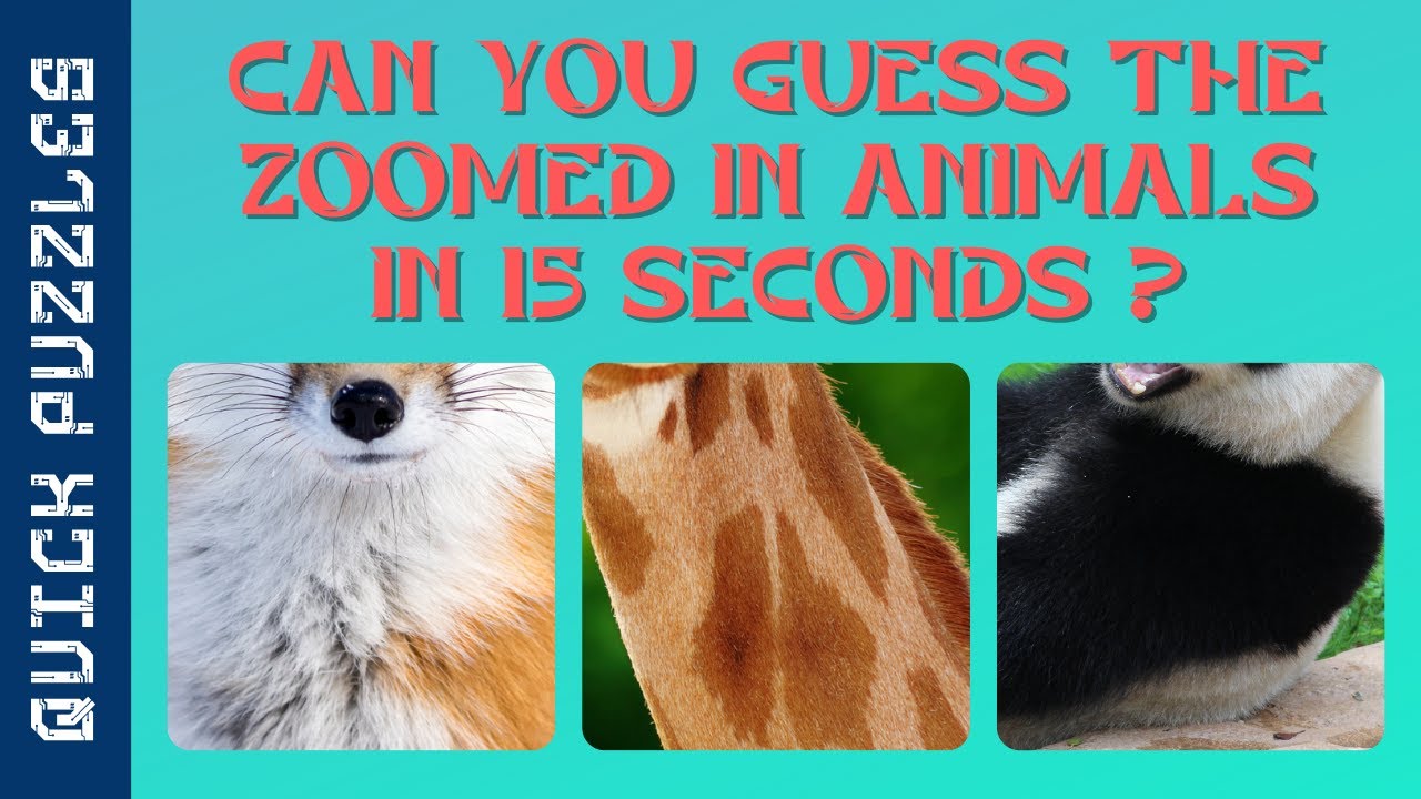 Zoomed in Picture Puzzle | Zoomed in Picture Guessing Game | Part 5 | Object Puzzles | Quick Puzzles
