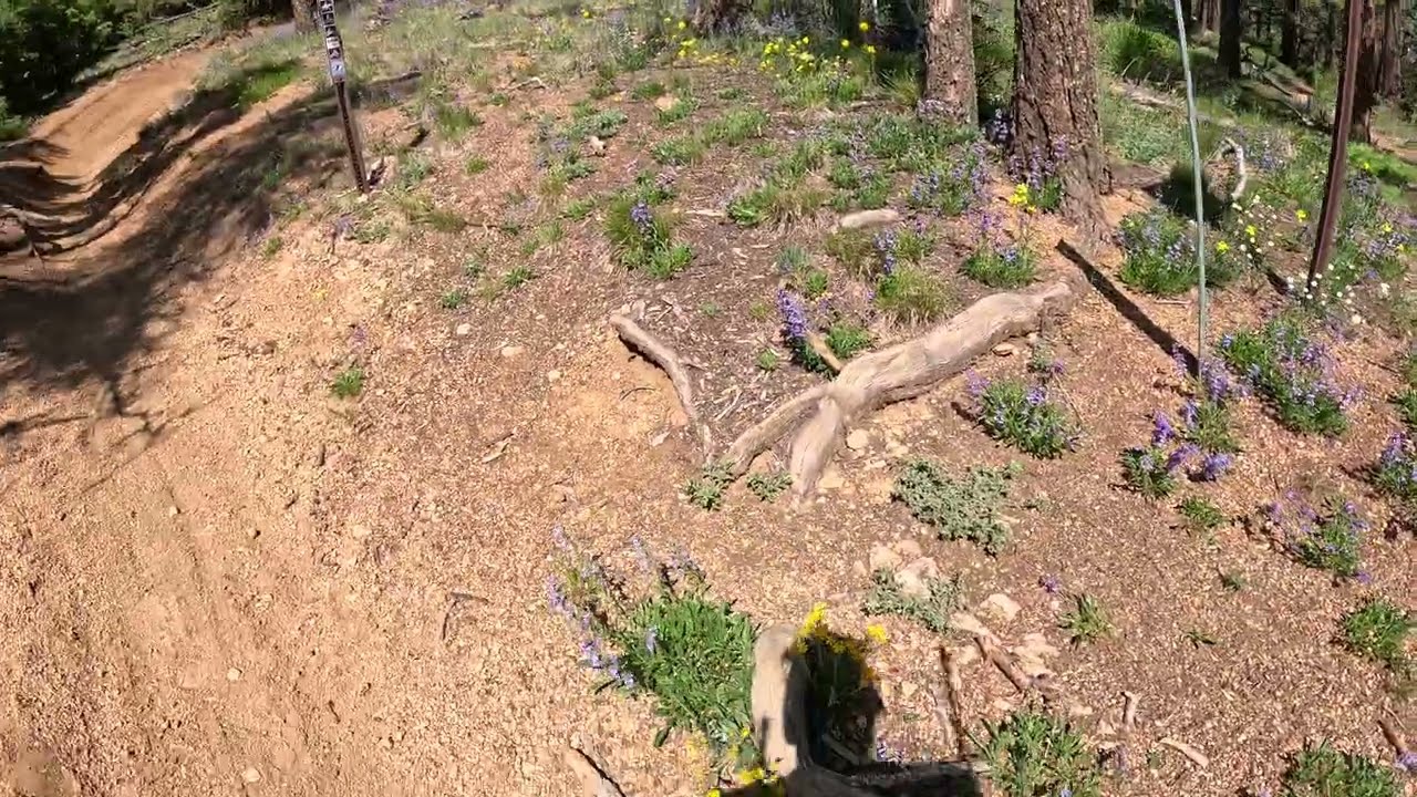 Upper Captain Jack's Trail