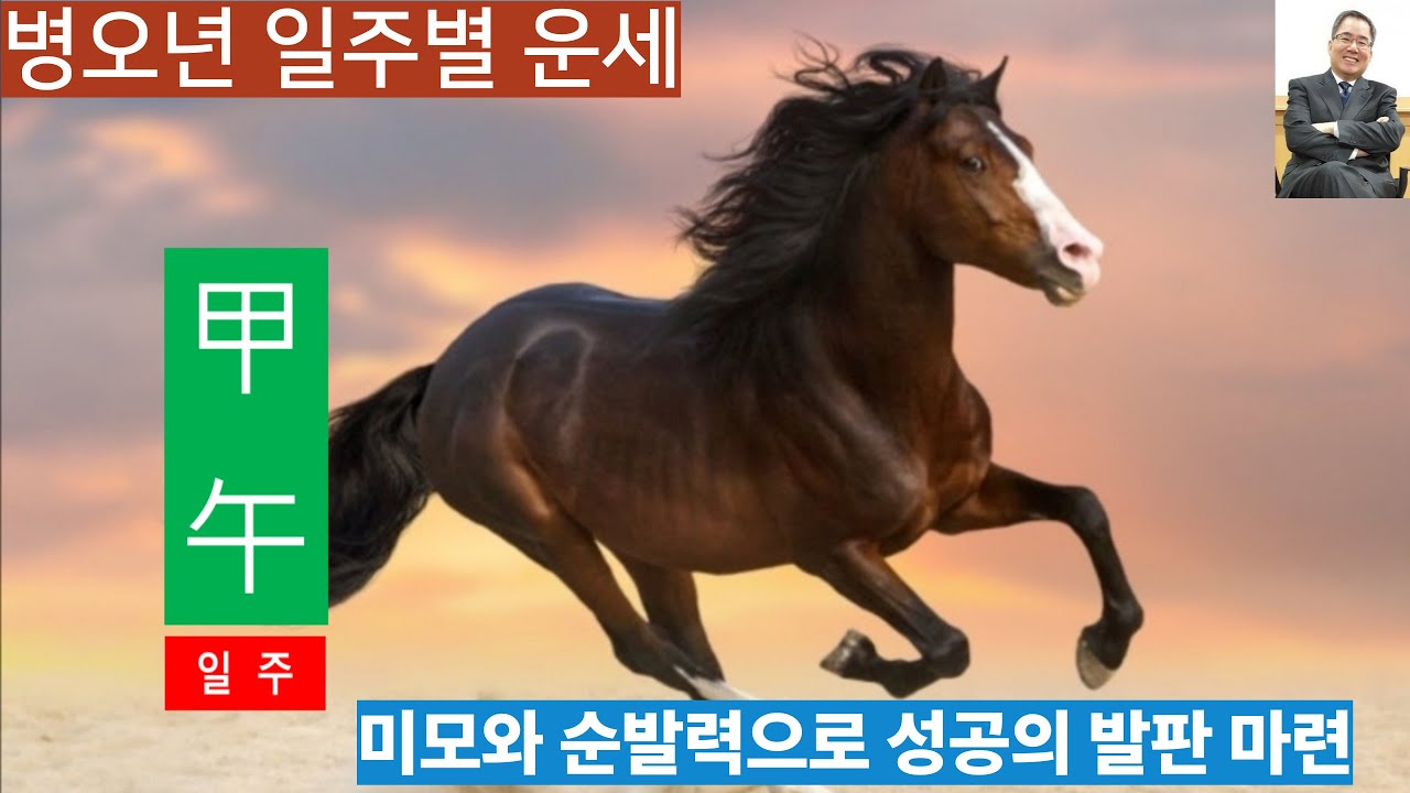 병오년운세ㅣ갑오일주, 미모와 센스, 아이디어와 순발력으로 성공의 발판을 마련한다