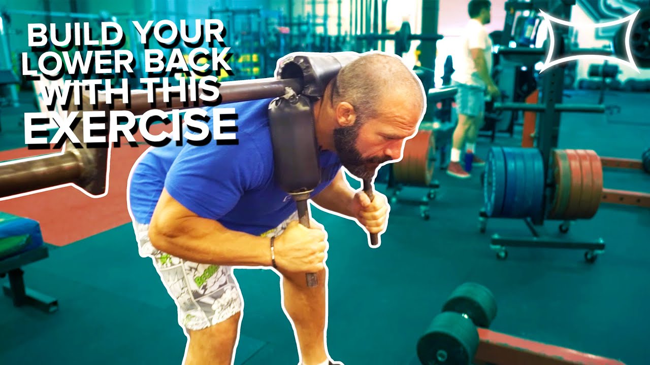 Build Up Your Low Back With GOOD MORNINGS! Ft. Andrew Herbert