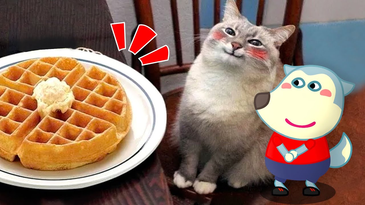 New Funny Cats and Dogs Videos 😁 - Best Funny Animal Videos 2024 😾🐶 Wolfoo in Real Life!