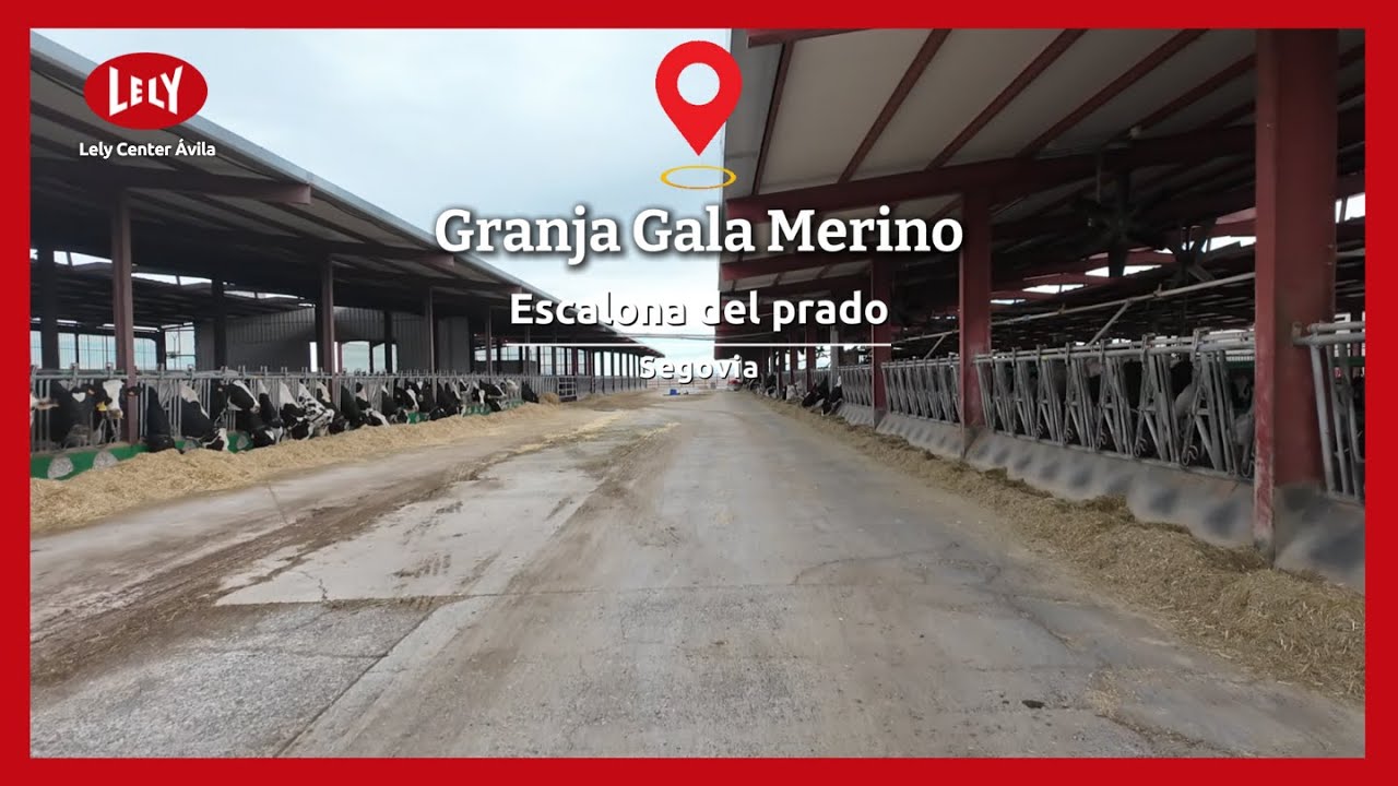 Lely Dairy L – Granja Gala Merino