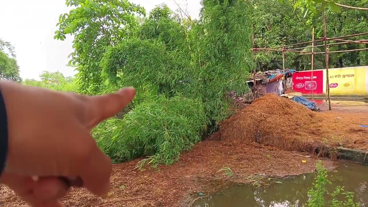 গ্রামের প্রকৃতি এমনই হয় | যেখানে প্রতিটি দৃশ্য শান্তির গল্প বলে