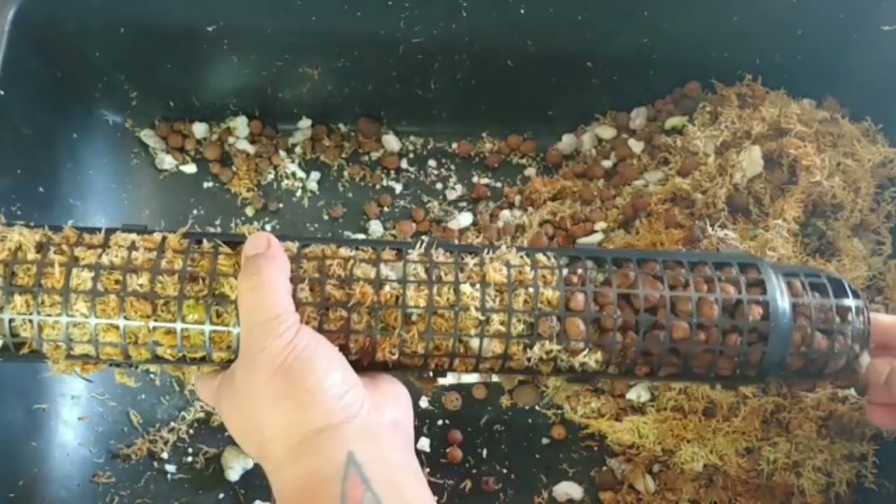 How to make semihydro moss poles using plastic Gutter Guards