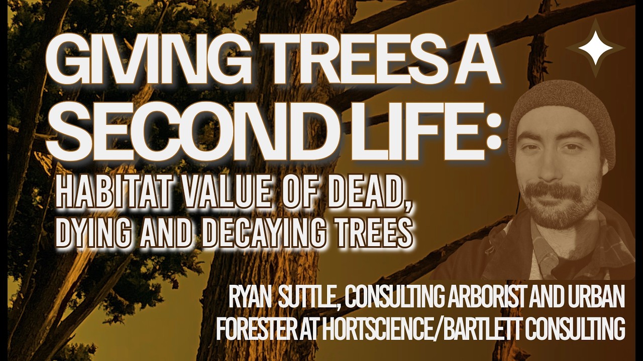 Giving Trees A Second Life: Habitat Value of Dead, Dying and Decaying Trees w Ryan Suttle - Feb SCHS