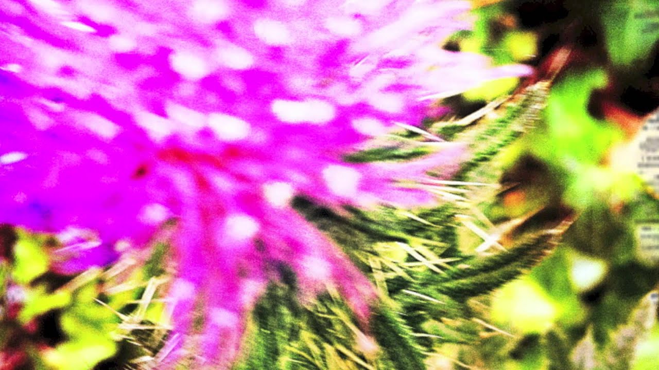 EnSecreto - Me desdibujo (Hecho a Mano)