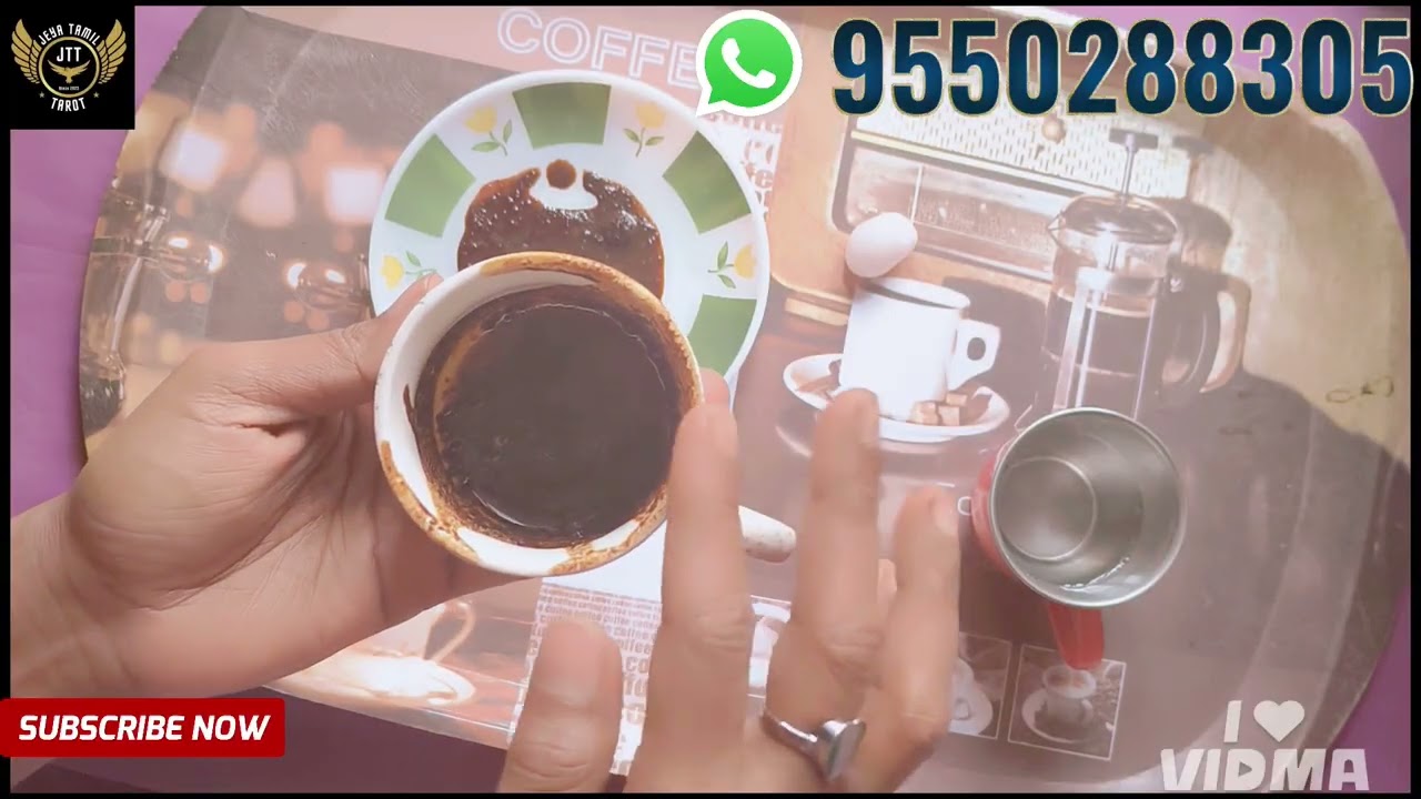 🌿🤍உங்கள் காதல் ♥️🕊️வாழ்க்கைக்கான பிரபஞ்சத்தின்🌟 வழிகாட்டல்🍀கணிப்புகள்🔮