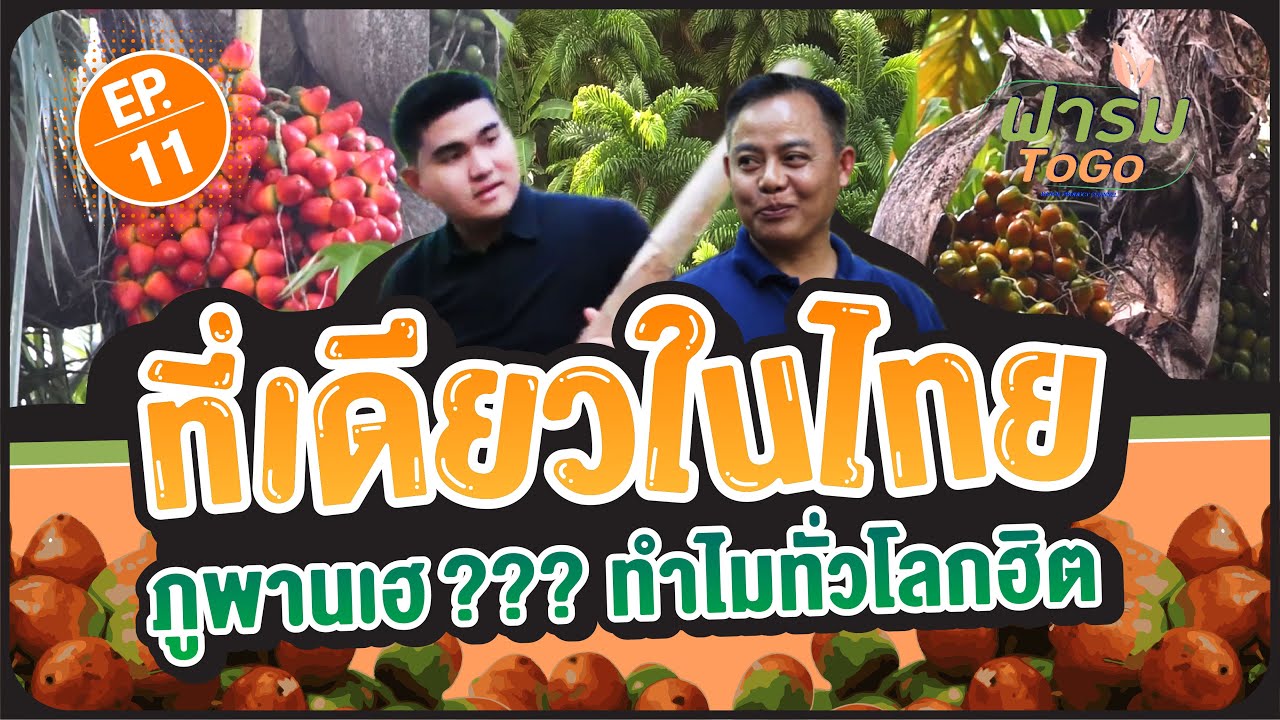 ฟาร์ม To Go EP. 11 ภูพานเฮ??? ที่เดียวในไทย ทำไมทั่วโลกฮิต
