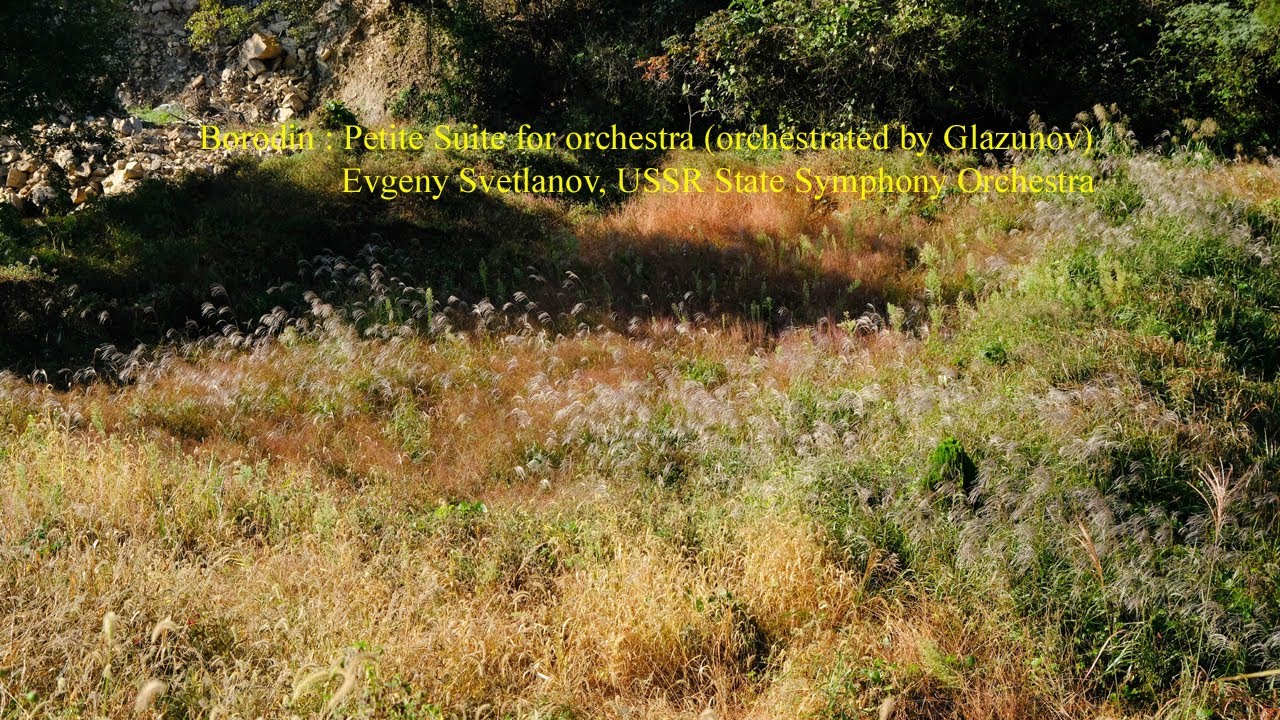 Borodin : Petite Suite for orchestra (orchestrated by Glazunov)