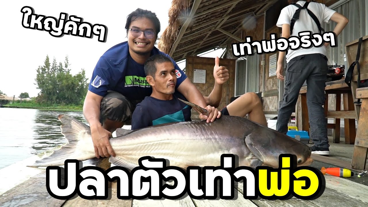 ปลาตัวใหญ่เท่าพ่อ [นี่คือบ้านบูมหลังที่ 2]