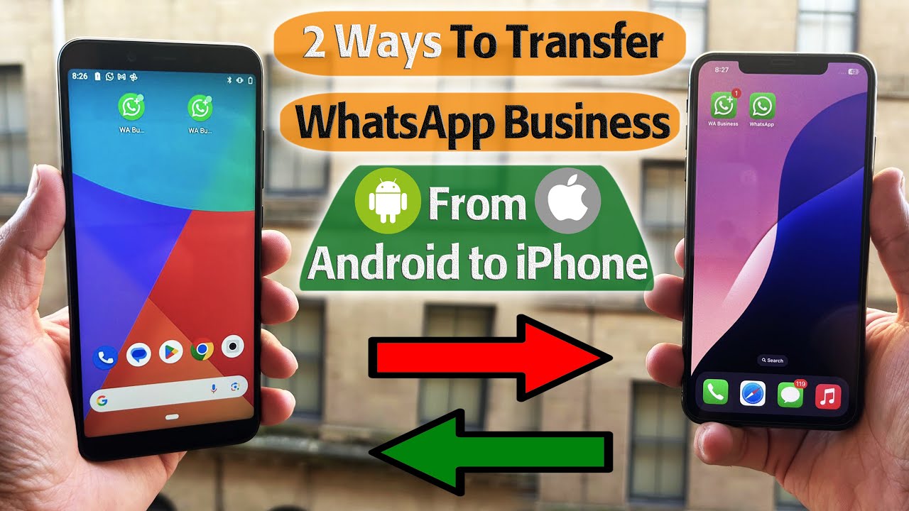 Как перенести чаты WhatsApp Business с Android на iPhone (2 способа, включая бесплатное решение)