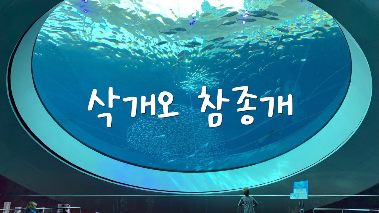삭개오 참종개