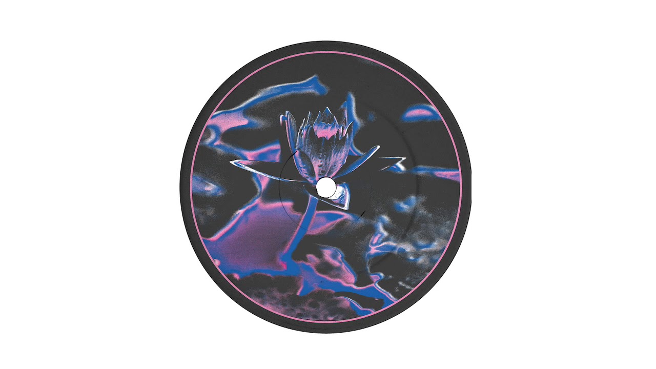 Swoose - Lotus