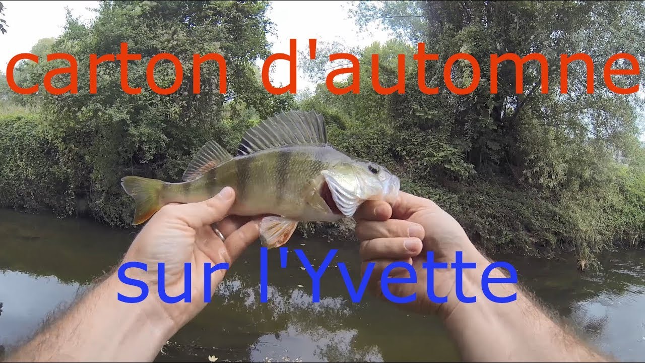 l'Yvette sous la pluie + surprise