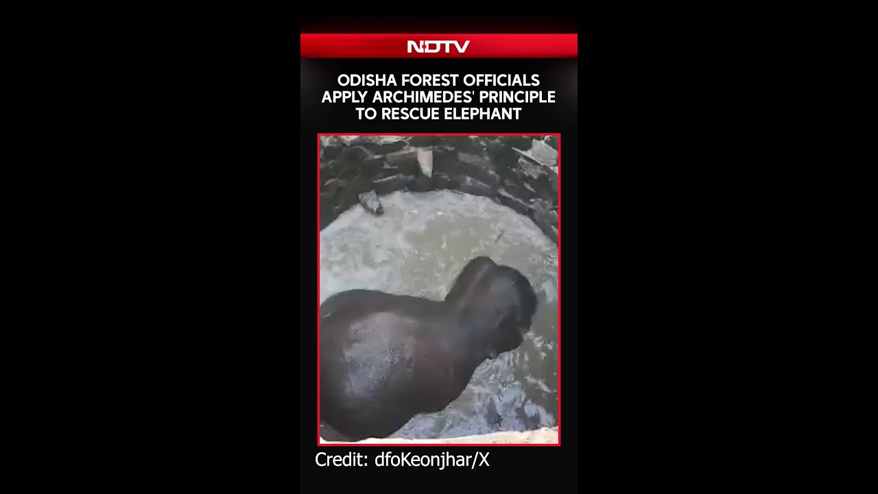 Odisha Forest Officials Apply Archimedes' Principle To Rescue Elephant