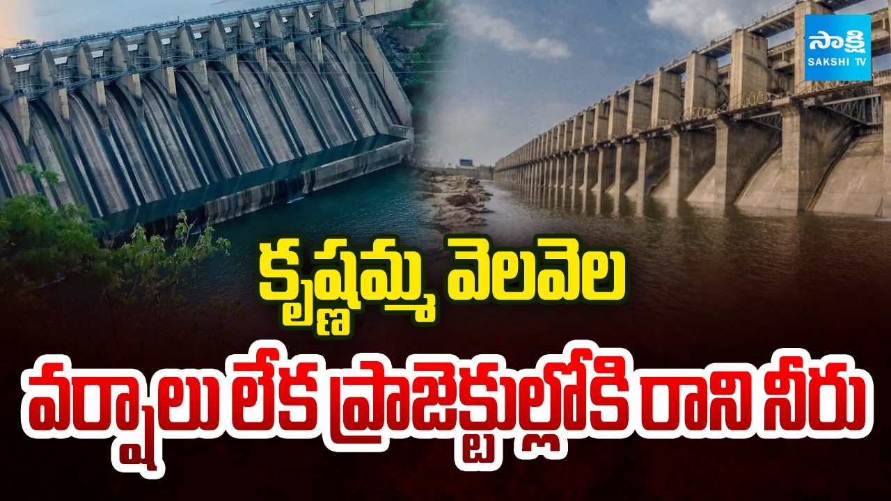 No Rain, No Water | Krishna River and Reservoirs Face Severe Water Shortage | Sakshi Tv