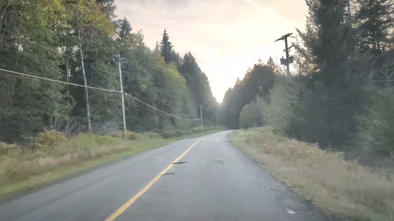 Campbell River to echo lake drive Vancouver Island bc Canada 🇨🇦#vancouverisland #driving#canadalife 
