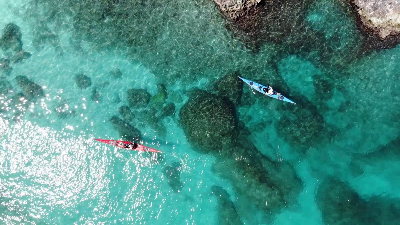 Epic wildlife encounters Sea Kayaking in Baja Mexico