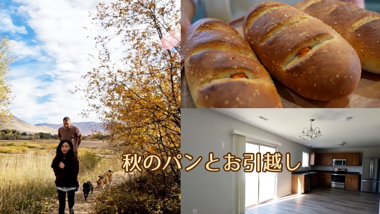 お芋のパンとお引っ越し！