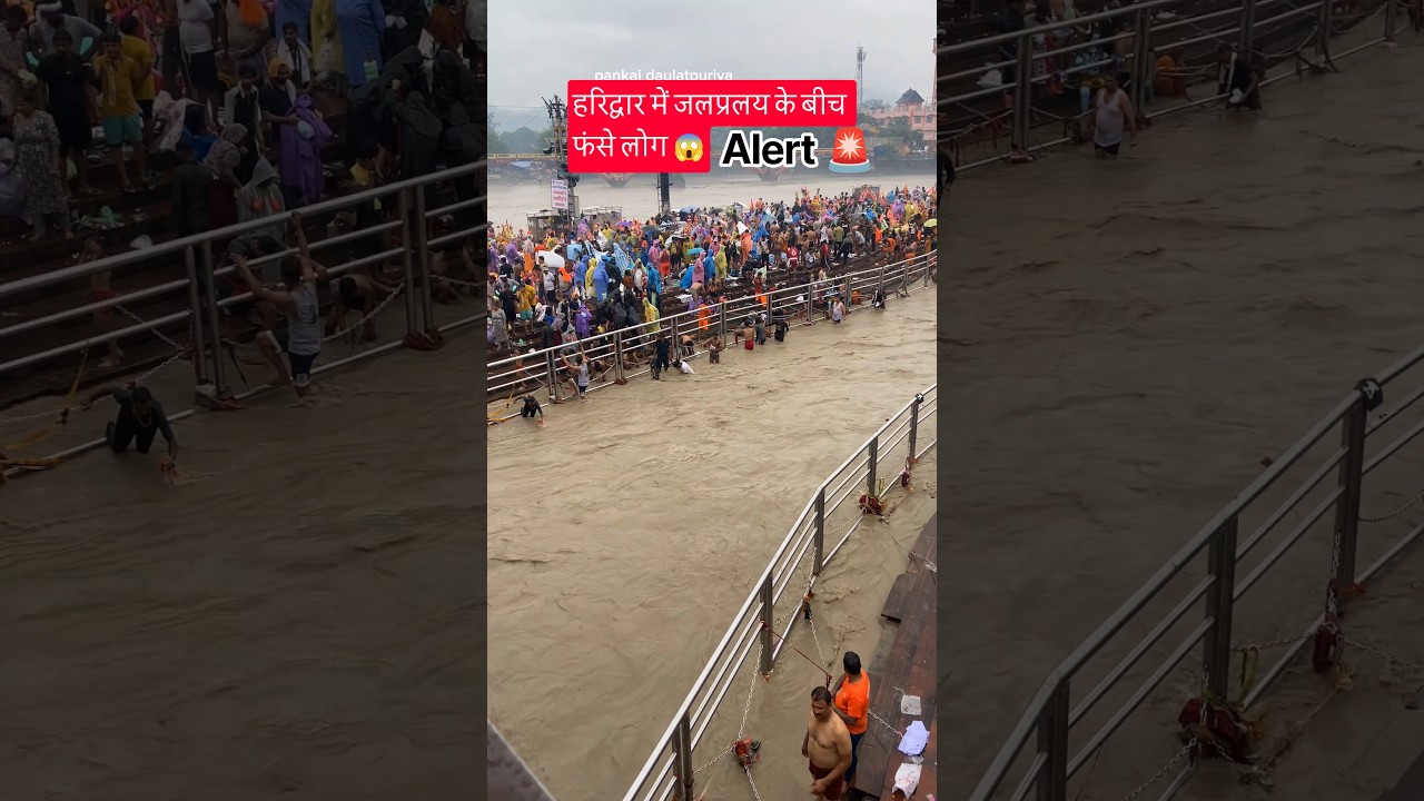 हरिद्वार में जलप्रलय 🚨के बीच फंसे लोग  haridwar Ganga Ji #flood #bhaad #alert #shorts #nepal