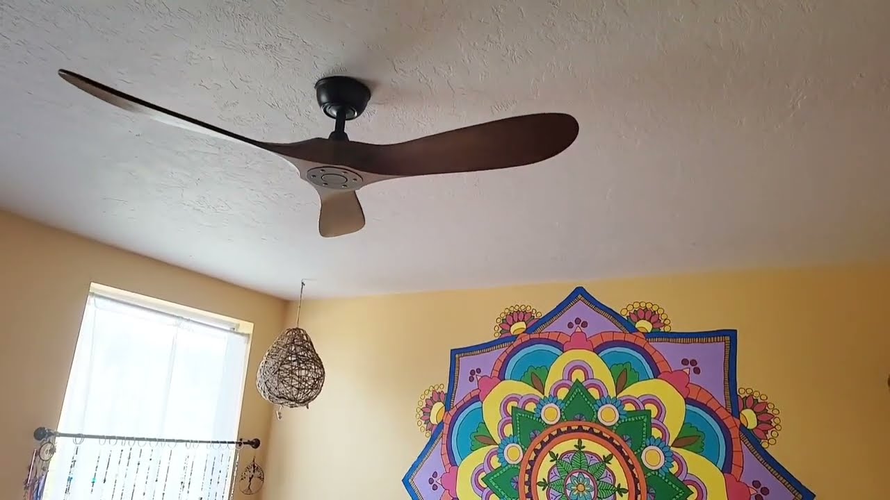 Haipeel 60 Wood Ceiling Fan no Light, 60 Inch Ceiling Fans, Indoor Outdoor Ceiling Fan no Light Revi