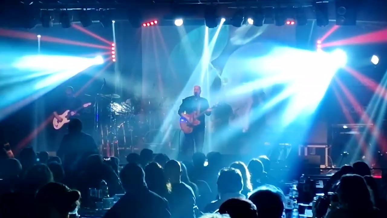 WILD JOKERS   David Gilmour Dark and Velvet Night Cover    Live at CrossRoads2025