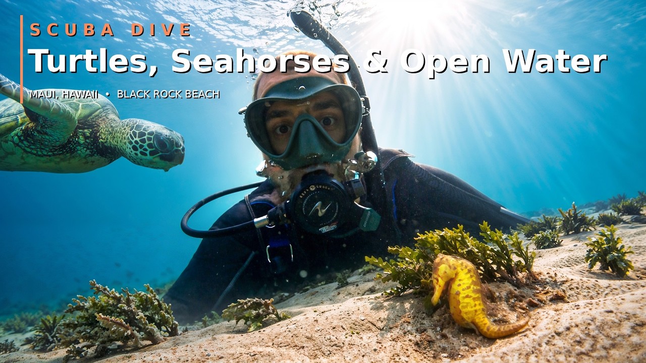 We Found the incredibly rare Fisher's Seahorse!