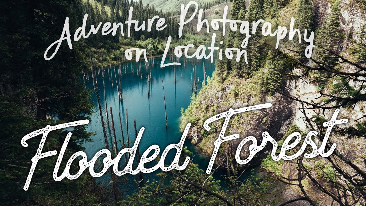 EP23 APOL - This is why YOU NEED Polarisers. - Photographing a Flooded Forest in Kazakhstan