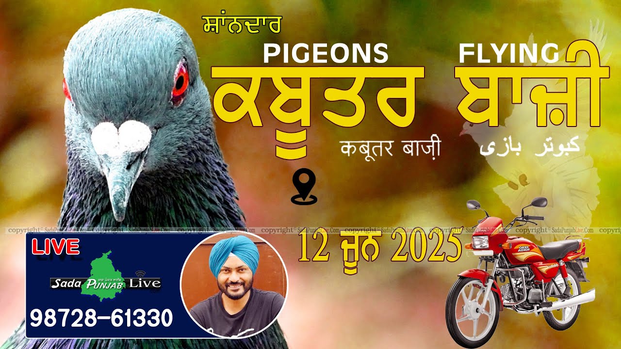 🔴 LIVE  ਕਬੂਤਰਬਾਜ਼ੀ🔴Part-2 || 12 June  2025 FLYING COMPITION .کبوتر کا کھیل